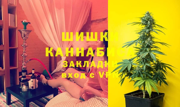 гидра Алексеевка