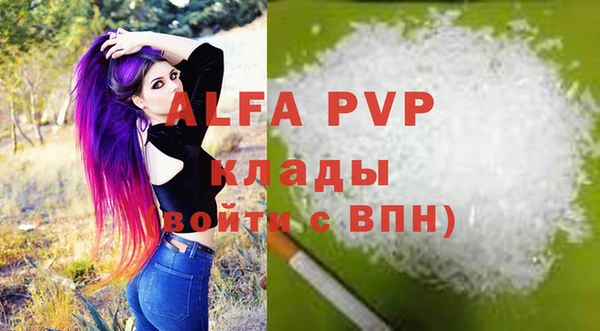 крисы Алексин
