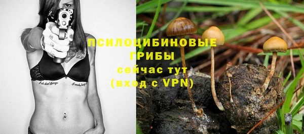 крисы Алексин