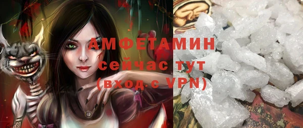гидра Алексеевка