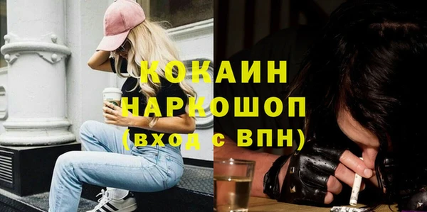 крисы Алексин