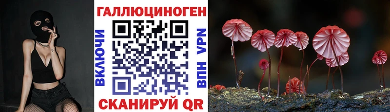 Галлюциногенные грибы GOLDEN TEACHER  blacksprut вход  Кемерово 
